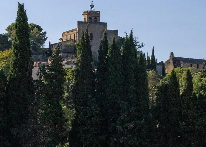 House In Idyllic Village Between Vineyards And Sea Casa vacanze *
